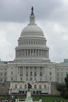 legislation's Avatar