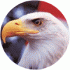 Pengoreagle's Avatar